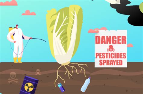 Pesticides Are More Widespread In Both Conventional And Organic