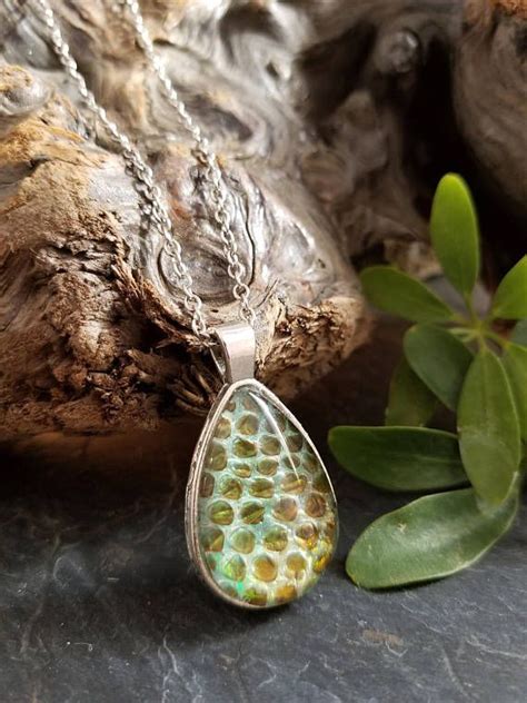 How often does a snake shed its skin? Real preserved snake skin shed oddities necklace https ...