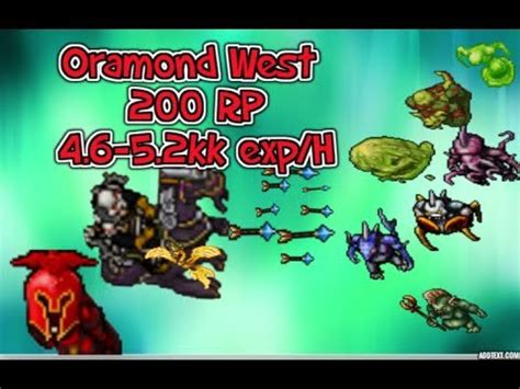 (take gps from minotaurs and make a lootbag). Tibia: Oramond West - Best places to hunt for Royal Paladin - YouTube