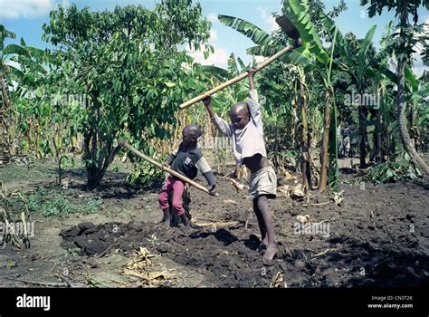 Young African Children Digging Crops Stock Photo Alamy