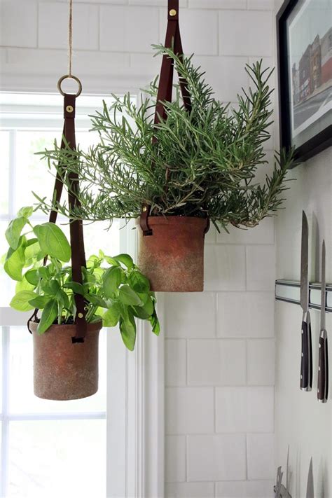 Hanging Herb Gardens You Will Love To Display In Your Home Page 2 Of 2