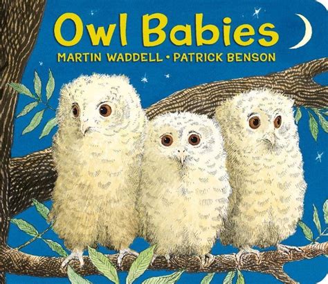 Owl Babies Lap Size Board Book Linden Tree Books Los Altos Ca