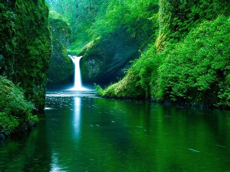Green Forest Waterfall Hd Wallpaper Pxfuel