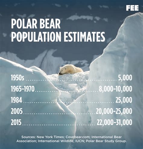Fallout From Covid 19 Climate Change And Polar Bears — Pphb Energy