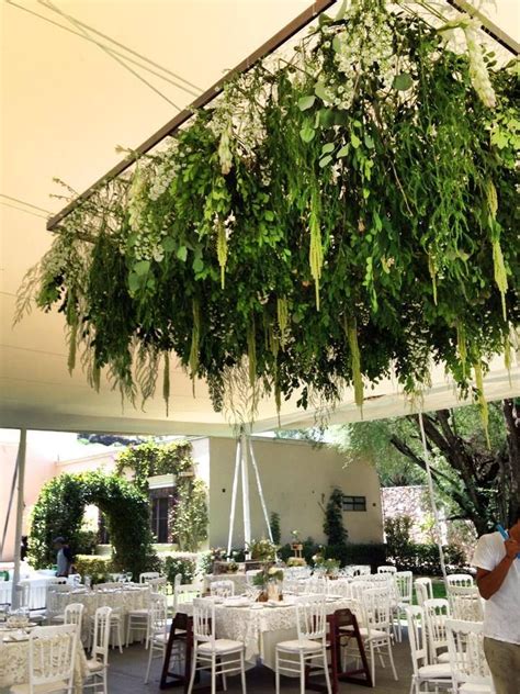 Jul 01, 2016 · conocer las mejores plantas para cestas colgantes nos permitirá poder crear verdaderas maravillas. Jardin Colgante Cuadrado (enredaderas) | Techo de boda ...