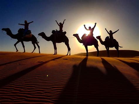 Passeios De Camelos No Deserto Do Saara Visitar Marrocos Youtube