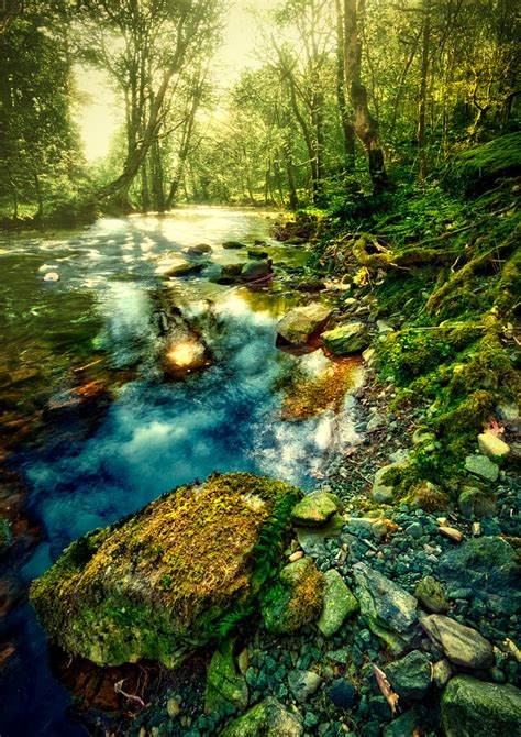 Magical River Woods Damian Bere Flickr
