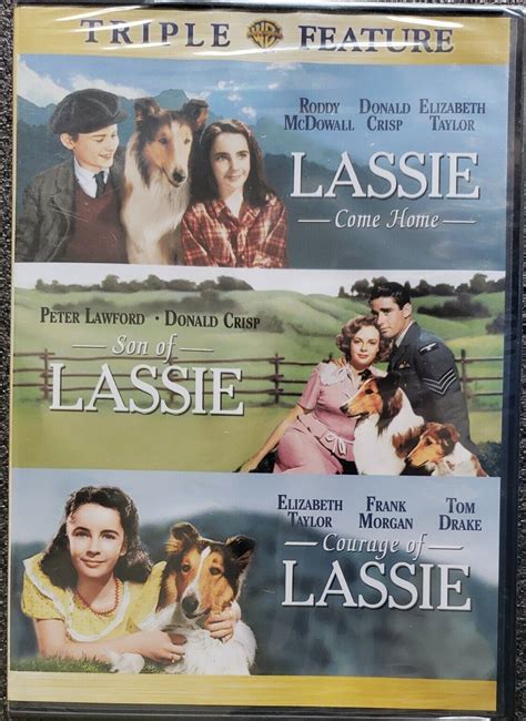 lassie triple feature dvd 2 disc 2006 come home son of courage brand new 12569678415 ebay