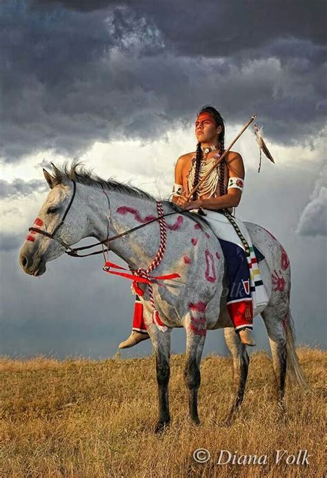 Brave Astride A Beautiful Indian Pony Native American Horses Native