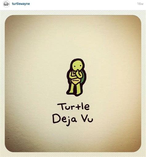 Pin By Kat Shersin On Tutrlewane Turtle Drawing Cute Turtle Drawings