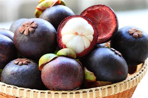 Kulit dari buah yang berwarna ungu ini memiliki kandungan xanthone yang dapat mencegah terjadinya penyakit kronis bahkan penyakit yang belum. 6 Khasiat Daun Manggis Buat Kesehatan - Lifestyle Fimela.com