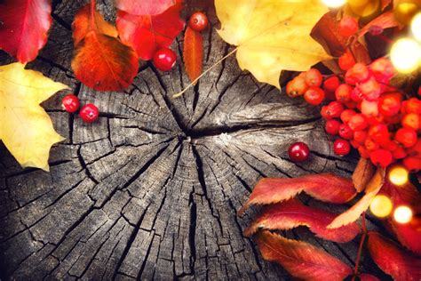 Call to worship for thanksgiving. Ministry Matters™ | New Worship Connection: Thanksgiving 2017