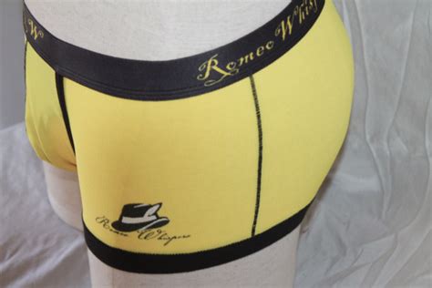 Dry Fit Boxers With Scrotal Support Romeo Whispers