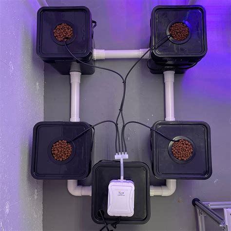 4 Bucket Recirculating Deep Water Culture Rdwc Hydroponic System For