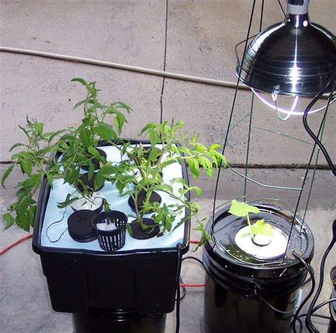For seating, hold the rods at the bottom ring on the cage and push firmly into soil. Almost Heaven Hydroponics: Plant support and lighting
