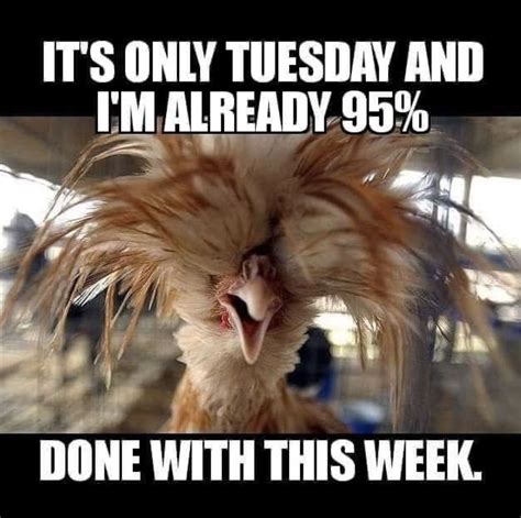 Sharing some crazy and hilarious tuesday morning funny quotes sayings, pictures and images to related: Pin by Michelle Glenda on Seven Days A Week ...
