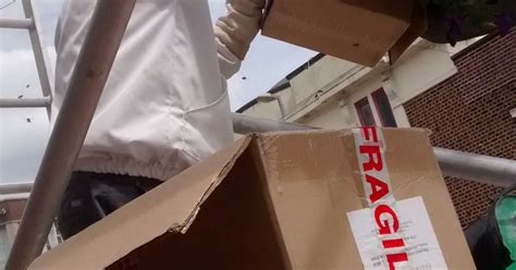Due to their abundance of food, shelter and water, food processing be sure to monitor these interior hot spots for signs of pest activity: Rugby Road bees - Hinckley Times
