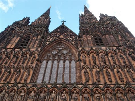 Ragged Robins Nature Notes Brief Visit To A Gothic Cathedral