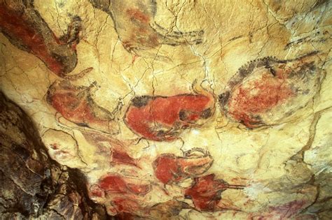 Unesco Welterbe Höhle Von Altamira In Spanien Wird Wieder Geöffnet
