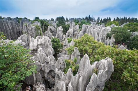 Shilin Stone Forest Chinas Bizarrer Steinerner „wald“