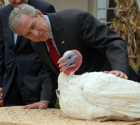 presidential turkey pardon obama pardons 2012 national thanksgiving turkeys cobbler and gobbler