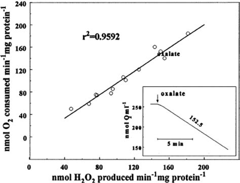 Oxalate Oxidase Activities Expressed As Nmol H 2 O 2 Download