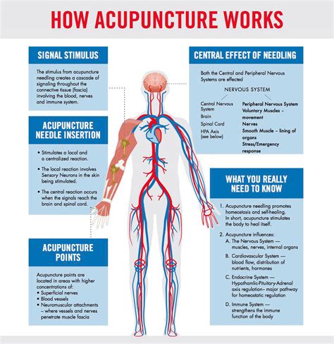Acupuncture Holistic Health Research Guides At Community College Of