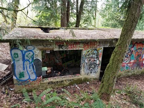 Weird Cool Stuff You Found In The Woods Page 38 Tacoma World