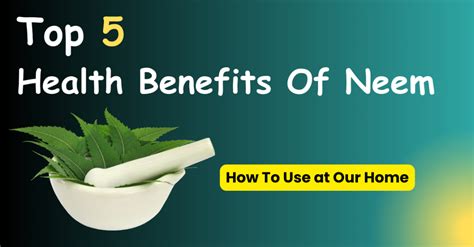 Top 5 Amazing Health Benefits Of Neem