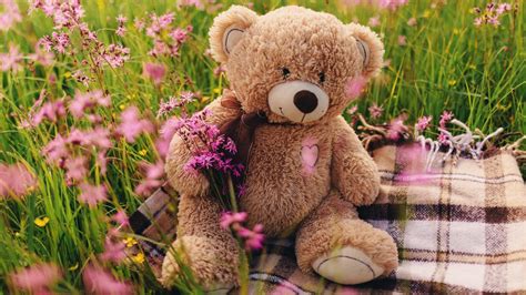 Cute Teddy Bear 5k Wallpapers Hd Wallpapers Id 30582