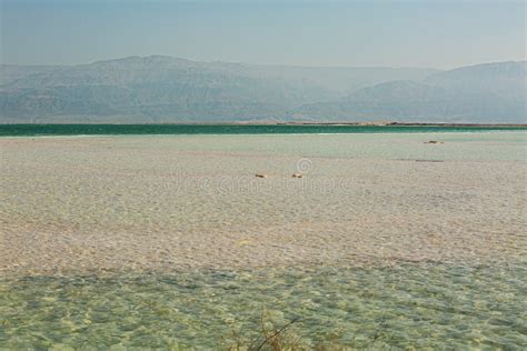 Beautiful Coast Of The Dead Sea Stock Image Image Of Clouds