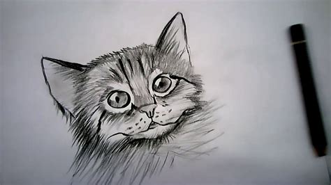 Como Dibujar Un Gato Realista A Lapiz Explicado Youtube Theme Loader
