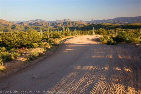 Dirt Road Ron Niebrugge Photography