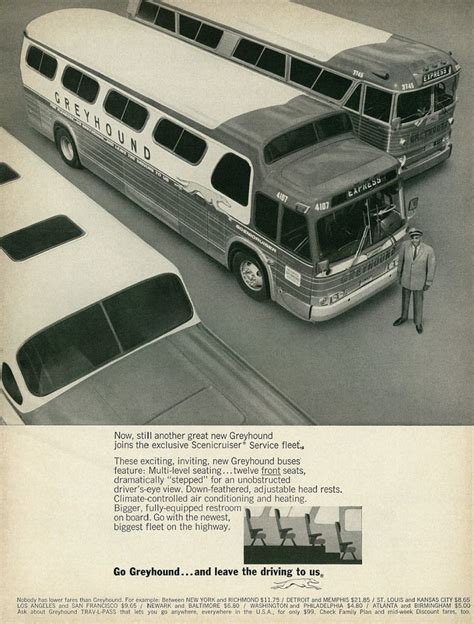 1966 Travel Ad Greyhound Bus Join The Exclusive Scenicruiser Service
