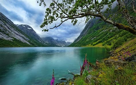 Feel free to download, share, comment and discuss every wallpaper you like. nature, Landscape, Lake, Wildflowers, Trees, Norway, Grass ...