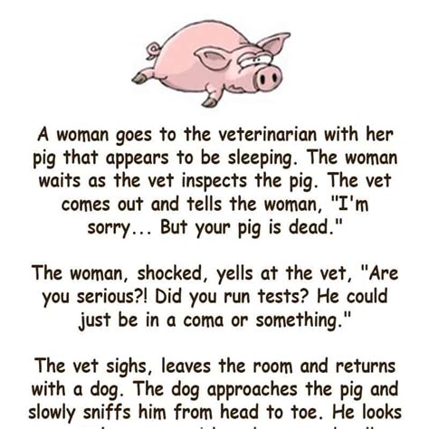 49 funny pirate jokes you can share with captain hook (if you daaarrrrre) do not fear, my pirate friend! A woman goes to the Vet with her Pig - funny joke - Funny ...