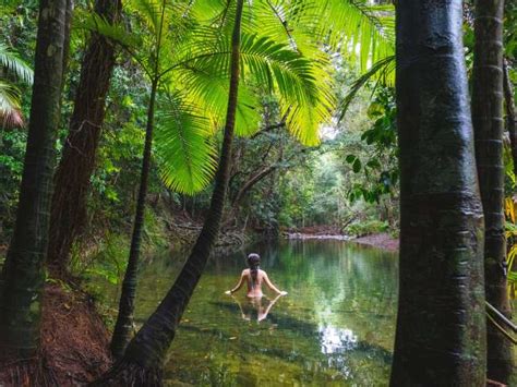 Reef To Water Holes The 10 Best Things To Do In The Daintree Escape