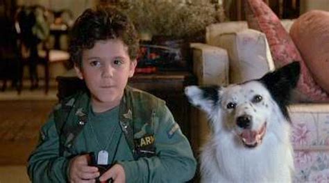 Fred Savage Through The Years — From ‘the Boy Who Could Fly To