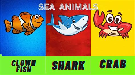 Sea Animals Names Kids Learning Videos Youtube