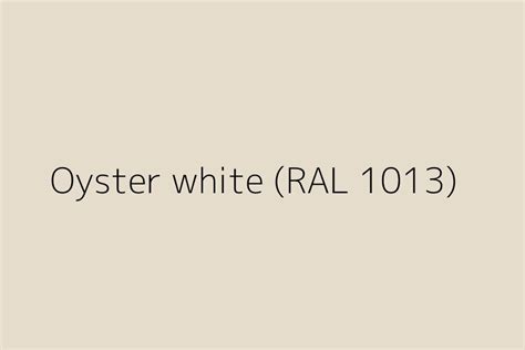 RAL 1013 POWDER COATING POWDER OYESTER WHITE At Rs 250 Kg In Faridabad