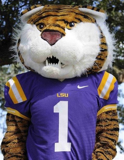 Mike The Tiger Lsu Tigers Football Geaux Tigers College Football Lsu