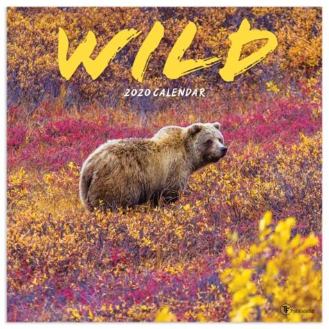 Tf Publishing 2020 Wild Wall Calendar 1 Ct Kroger