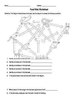 People interested in food chain vs food web worksheet also searched for even something as easy as guessing the beginning letter of long words can assist your child improve his phonics abilities. Food Web Worksheet by Amanda Behen | Teachers Pay Teachers