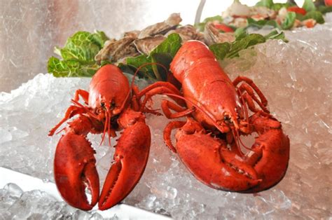 The Lobster House In Cape May New Jersey Is A Classic Seafood