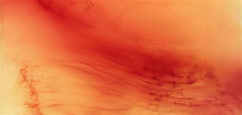 Wolfgang Tillmans Abstract Pictures The Eye Of Photography Magazine