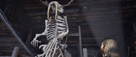 Alibaba.com offers 1,797 dinosaur bones products. Dinosaur Bones Rdr2 Map Reddit