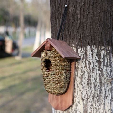 How to make hummingbird food boil your water, add the sugar to your water and stir until dissolved. Pin on HUMMINGBIRDS & Garden ideas