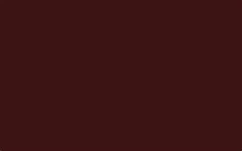 1920x1200 Dark Sienna Solid Color Background