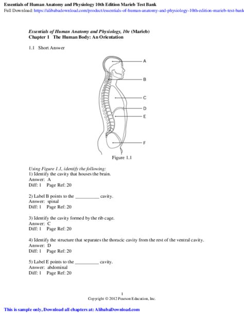 Anatomy And Physiology Chapter 1 4 Test