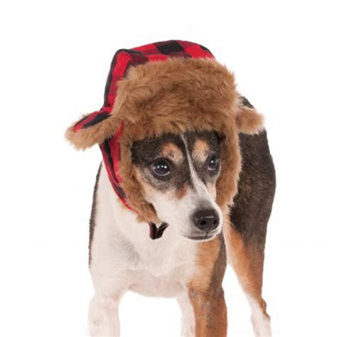 Trapper Dog Hat Costume Baxterboo